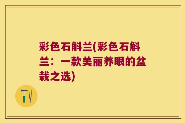 彩色石斛兰(彩色石斛兰：一款美丽养眼的盆栽之选)