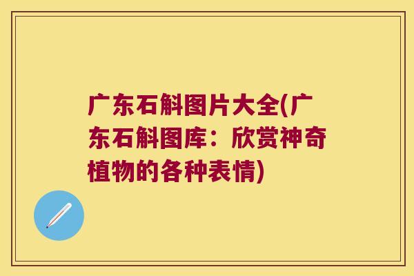 广东石斛图片大全(广东石斛图库：欣赏神奇植物的各种表情)