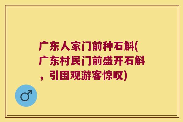 广东人家门前种石斛(广东村民门前盛开石斛，引围观游客惊叹)