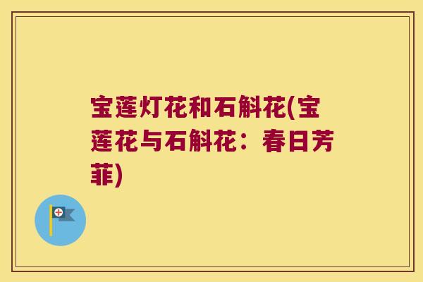 宝莲灯花和石斛花(宝莲花与石斛花：春日芳菲)