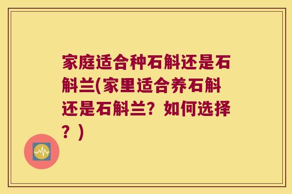 家庭适合种石斛还是石斛兰(家里适合养石斛还是石斛兰？如何选择？)