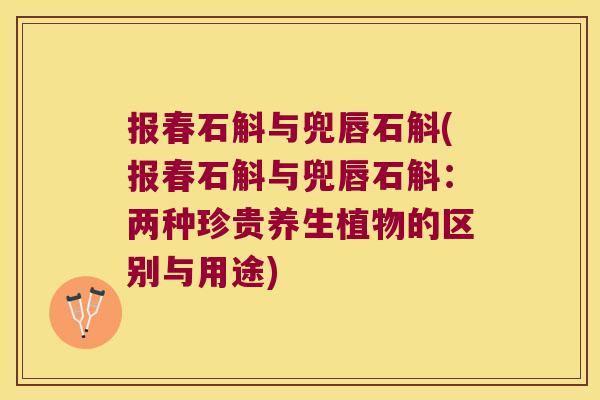 报春石斛与兜唇石斛(报春石斛与兜唇石斛：两种珍贵养生植物的区别与用途)