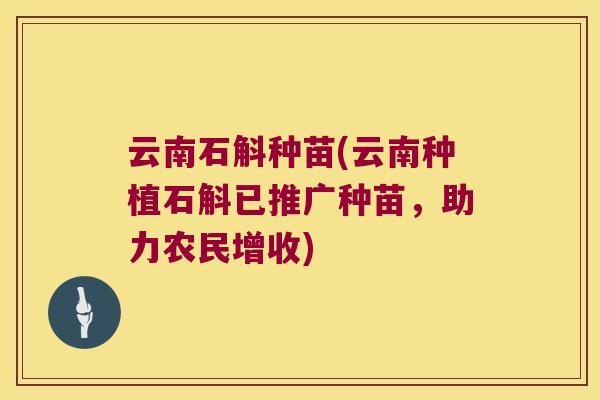 云南石斛种苗(云南种植石斛已推广种苗，助力农民增收)