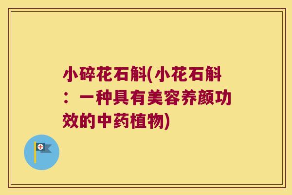小碎花石斛(小花石斛：一种具有美容养颜功效的中药植物)