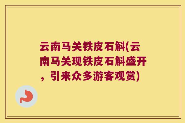 云南马关铁皮石斛(云南马关现铁皮石斛盛开，引来众多游客观赏)