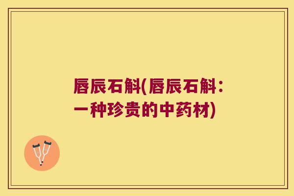 唇辰石斛(唇辰石斛：一种珍贵的中药材)