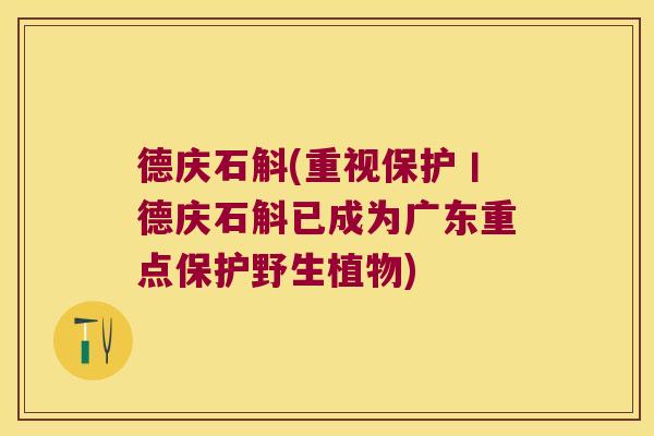 德庆石斛(重视保护丨德庆石斛已成为广东重点保护野生植物)