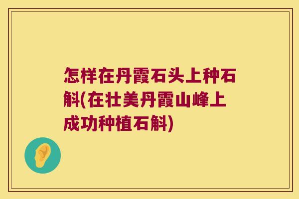 怎样在丹霞石头上种石斛(在壮美丹霞山峰上成功种植石斛)