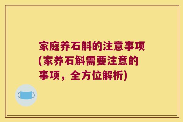 家庭养石斛的注意事项(家养石斛需要注意的事项,全方位解析) 家庭养石斛的注意事项(家养石斛需要注意的事项,全方位解析)
