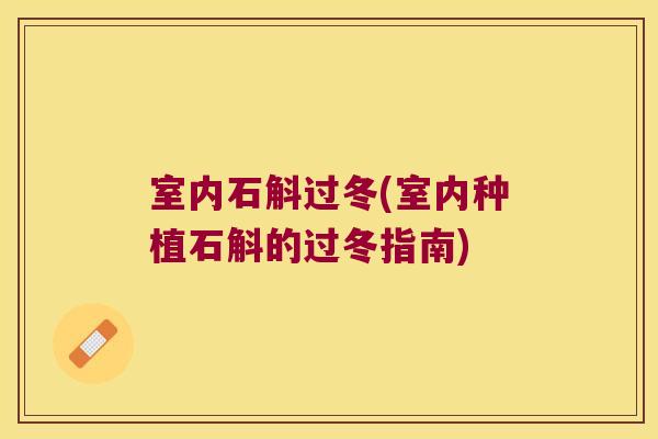室内石斛过冬(室内种植石斛的过冬指南)