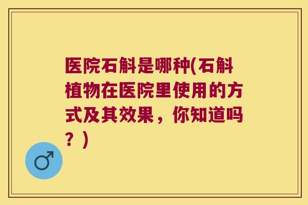 医院石斛是哪种(石斛植物在医院里使用的方式及其效果，你知道吗？)