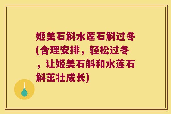 姬美石斛水莲石斛过冬(合理安排，轻松过冬，让姬美石斛和水莲石斛茁壮成长)