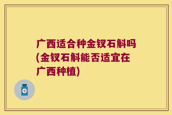 广西适合种金钗石斛吗(金钗石斛能否适宜在广西种植)