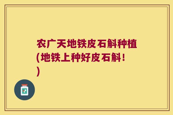 农广天地铁皮石斛种植(地铁上种好皮石斛！)