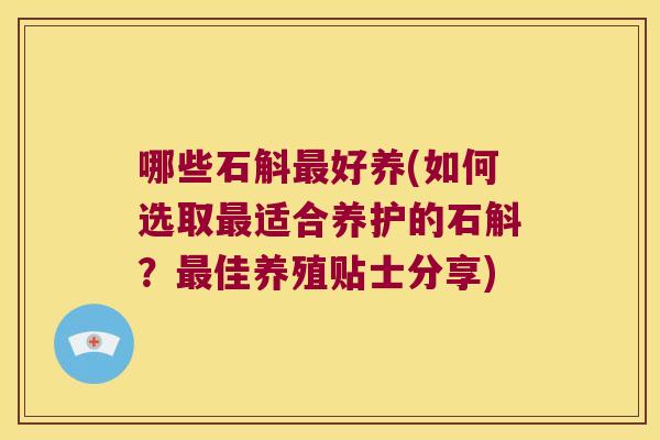 哪些石斛最好养(如何选取最适合养护的石斛？最佳养殖贴士分享)