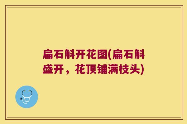 扁石斛开花图(扁石斛盛开，花顶铺满枝头)