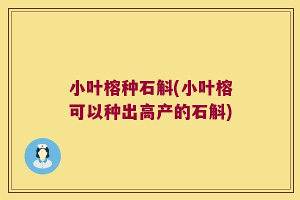 小叶榕种石斛(小叶榕可以种出高产的石斛)
