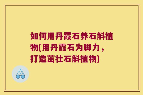 如何用丹霞石养石斛植物(用丹霞石为脚力，打造茁壮石斛植物)