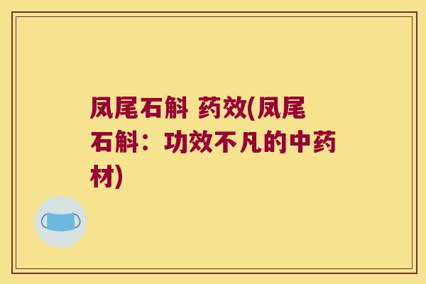 凤尾石斛 药效(凤尾石斛：功效不凡的中药材)