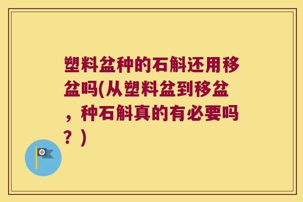 塑料盆种的石斛还用移盆吗(从塑料盆到移盆，种石斛真的有必要吗？)