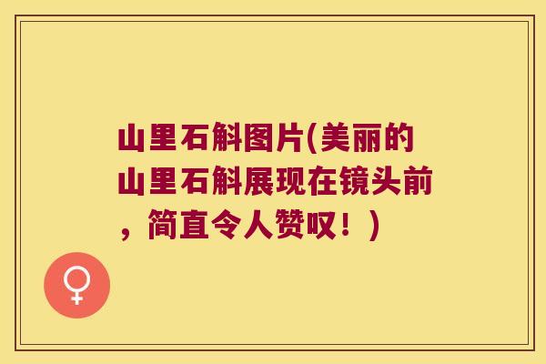 山里石斛图片(美丽的山里石斛展现在镜头前，简直令人赞叹！)