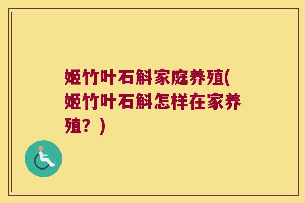 姬竹叶石斛家庭养殖(姬竹叶石斛怎样在家养殖？)