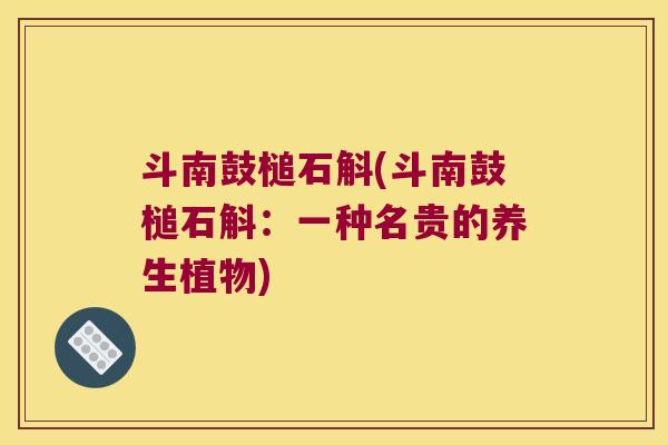 斗南鼓槌石斛(斗南鼓槌石斛：一种名贵的养生植物)