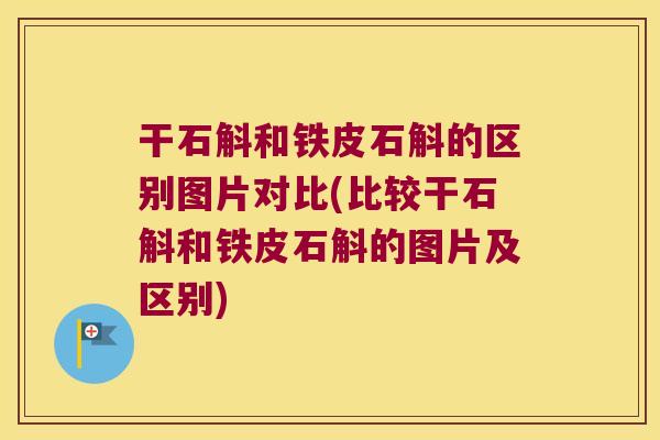 干石斛和铁皮石斛的区别图片对比(比较干石斛和铁皮石斛的图片及区别)