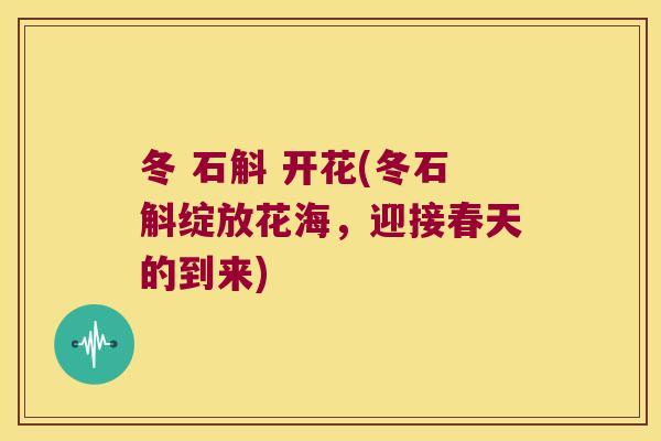 冬 石斛 开花(冬石斛绽放花海，迎接春天的到来)