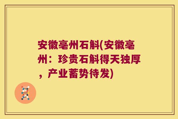 安徽亳州石斛(安徽亳州：珍贵石斛得天独厚，产业蓄势待发)