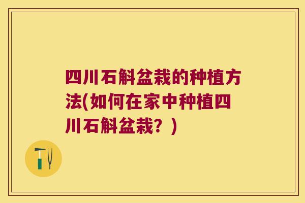 四川石斛盆栽的种植方法(如何在家中种植四川石斛盆栽?) 四川石斛盆栽的种植方法(如何在家中种植四川石斛盆栽?)