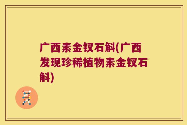 广西素金钗石斛(广西发现珍稀植物素金钗石斛) 广西素金钗石斛(广西发现珍稀植物素金钗石斛)