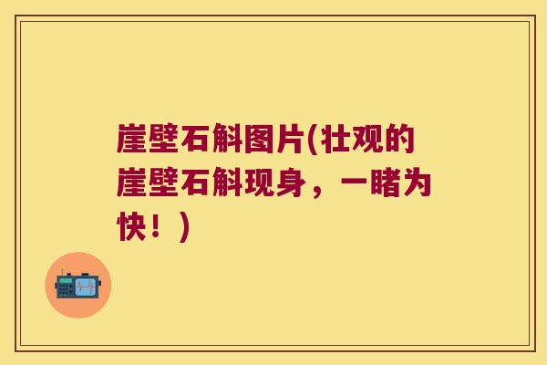 崖壁石斛图片(壮观的崖壁石斛现身，一睹为快！)