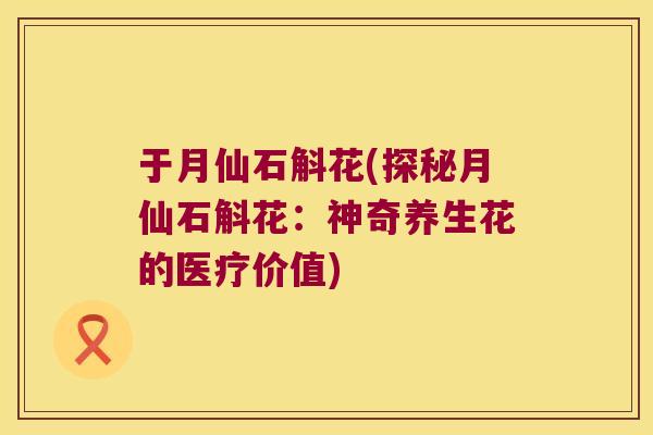 于月仙石斛花(探秘月仙石斛花:神奇养生花的医疗价值) 于月仙石斛花(探秘月仙石斛花:神奇养生花的医疗价值)