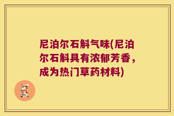 尼泊尔石斛气味(尼泊尔石斛具有浓郁芳香，成为热门草药材料)