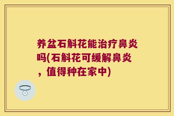 养盆石斛花能治疗鼻炎吗(石斛花可缓解鼻炎，值得种在家中)