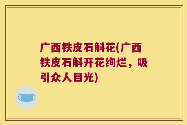 广西铁皮石斛花(广西铁皮石斛开花绚烂，吸引众人目光)