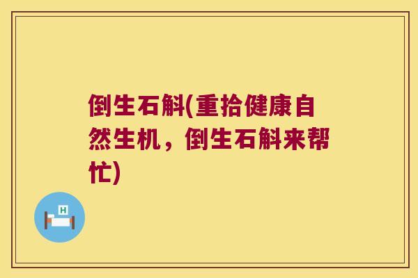 倒生石斛(重拾健康自然生机，倒生石斛来帮忙)