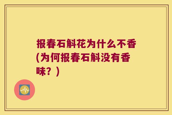 报春石斛花为什么不香(为何报春石斛没有香味？)