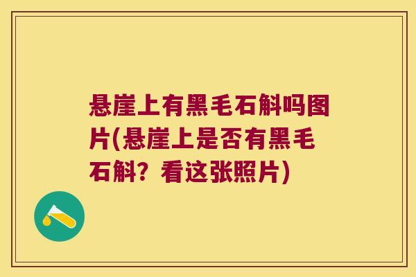 悬崖上有黑毛石斛吗图片(悬崖上是否有黑毛石斛？看这张照片)