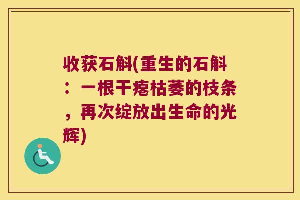 收获石斛(重生的石斛：一根干瘪枯萎的枝条，再次绽放出生命的光辉)