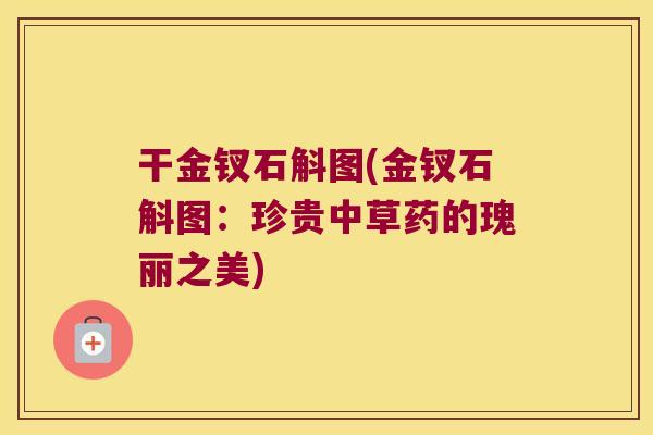 干金钗石斛图(金钗石斛图：珍贵中草药的瑰丽之美)