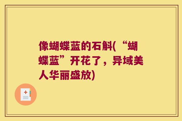 像蝴蝶蓝的石斛(“蝴蝶蓝”开花了，异域美人华丽盛放)