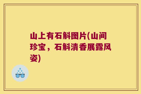 山上有石斛图片(山间珍宝，石斛清香展露风姿)