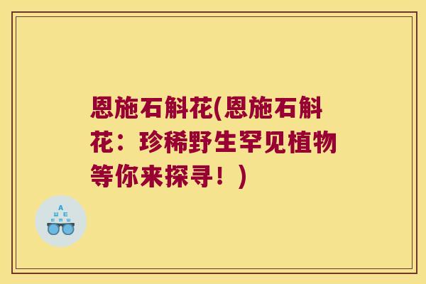 恩施石斛花(恩施石斛花：珍稀野生罕见植物等你来探寻！)
