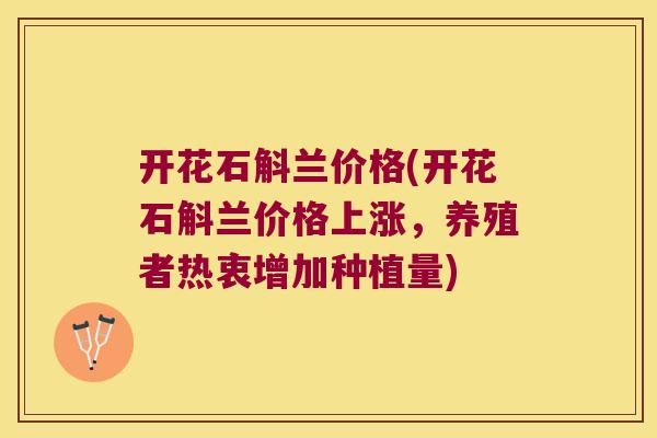 开花石斛兰价格(开花石斛兰价格上涨，养殖者热衷增加种植量)