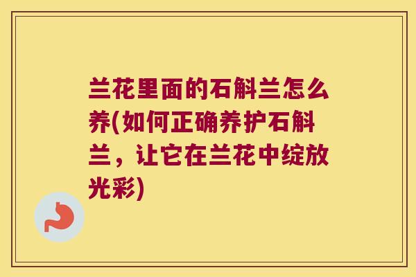 兰花里面的石斛兰怎么养(如何正确养护石斛兰，让它在兰花中绽放光彩)