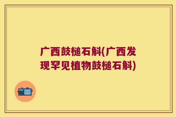 广西鼓槌石斛(广西发现罕见植物鼓槌石斛)