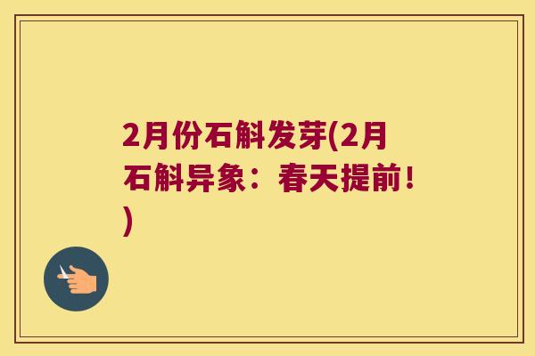 2月份石斛发芽(2月石斛异象：春天提前！)