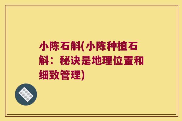 小陈石斛(小陈种植石斛：秘诀是地理位置和细致管理)